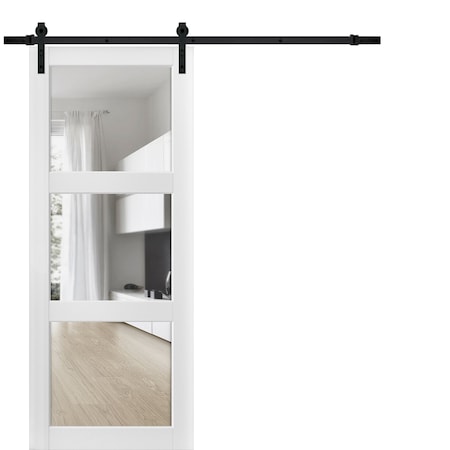 Sartodoors Barn Interior Door, 30" x 80", White LUCIA2555BD-B-BEM-30